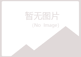 长春双阳字迹司机有限公司